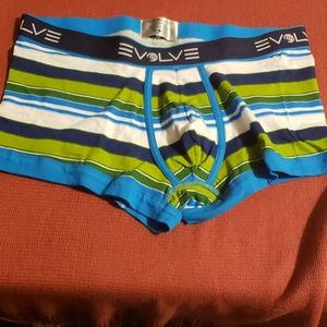 EVOLVE brief